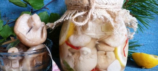 Соленые грузди с имбирём и лимоном