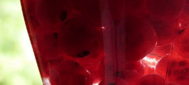 Соление грибов