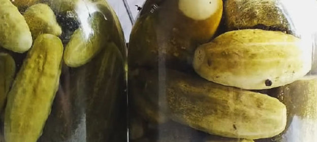 Очищенные соленые помидоры в томатной заливке