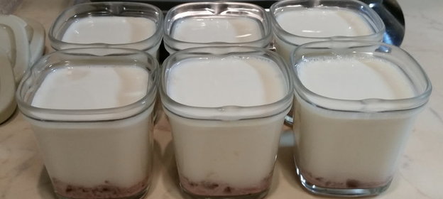 Домашний йогурт с джемом в йогуртнице Tefal YG654. Видео