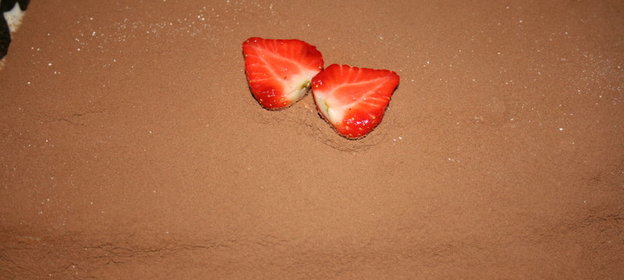 мои вариации на тему Тирамису