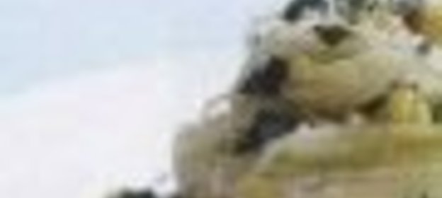 «Пракес» (голубцы мясные)