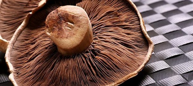 Сушеные грибы в маринаде