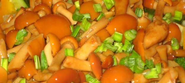 Соленые опята в бочке