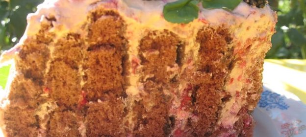 Шоколадный спиральный торт с малиной и ежевикой