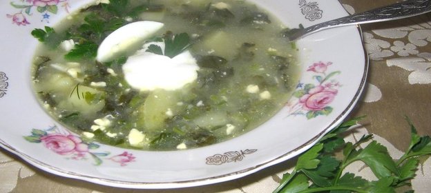 Щи из щавеля