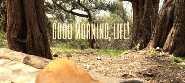 Кекс с изюмом на фруктозе