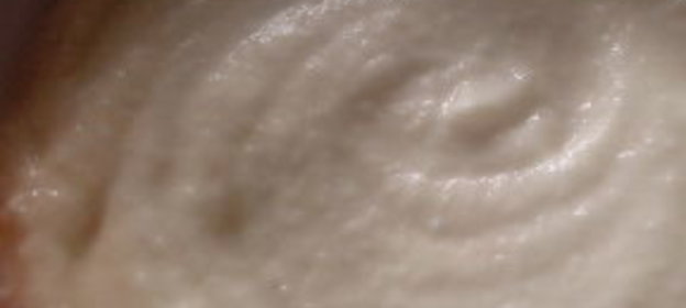 Приправа с соусом «Провансаль»