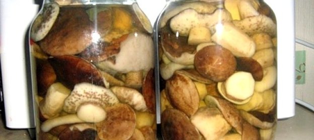 Соленые подберезовики