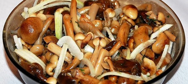 Опята осенние соленые