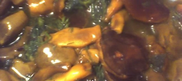 Соленые грибочки