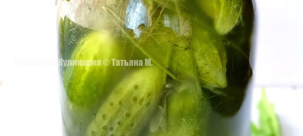 Огурцы соленые на зиму (бабушкин рецепт)
