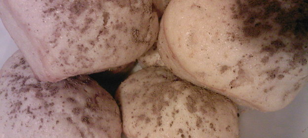 Кексики с банановым вкусом, но без бананов