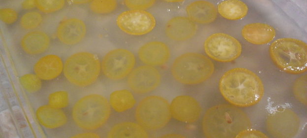 Имбирное желе с кумкватами
