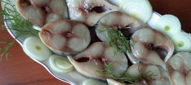 Скумбрия (и ставрида) соленая