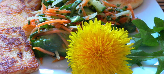 Чесночные оладьи /ШОК/