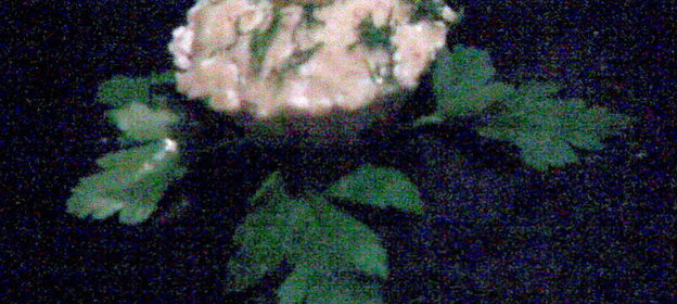 Рыбные маффины с фаршированными оливками (постные)