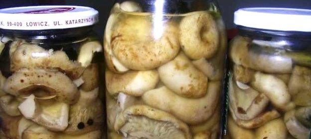 Грузди соленые маринованные