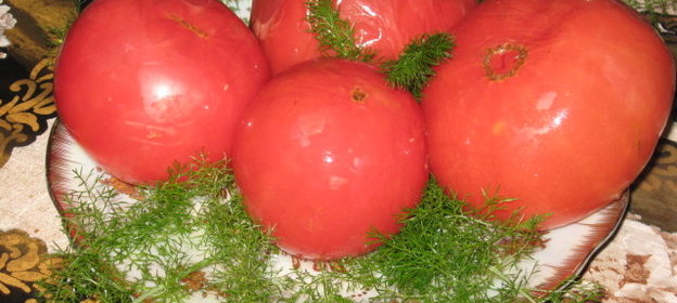 Бочковые соленые помидорки в исполнении мужа