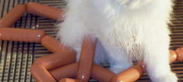 Курица по-индийски