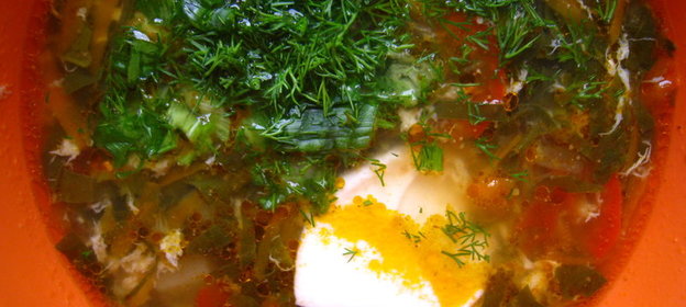 Щи щавелевые (вариант)