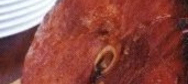 «Сельдь с маринадом»