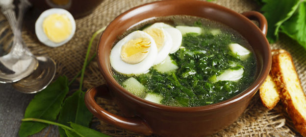 Щи из щавеля