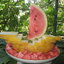 Парусникиз дыни и арбуза