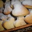 Печенье Сердечки