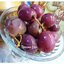 Моченый виноград