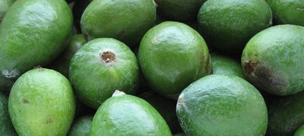 Джем из фейхоа (свежий)