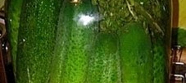 Соленые огурцы на зиму