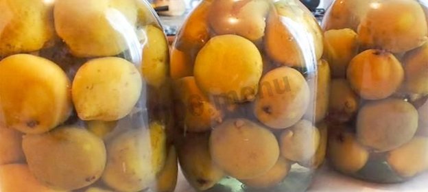 Груши консервированные целиком в сиропе на зиму