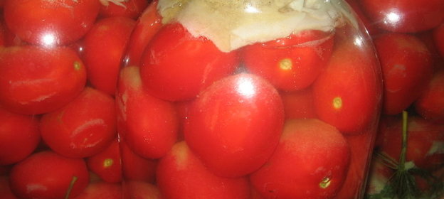 Соленные, ядреные, бочковые помидоры из банки