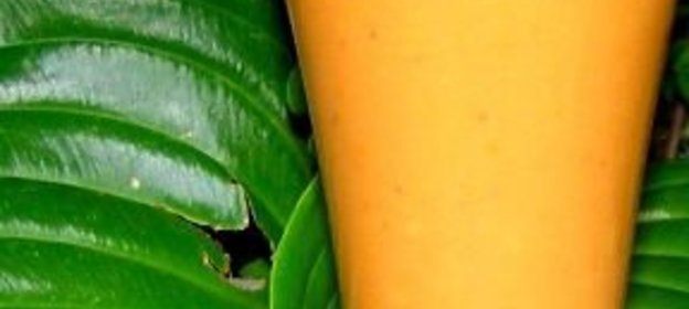 Летний абрикосовый смузи