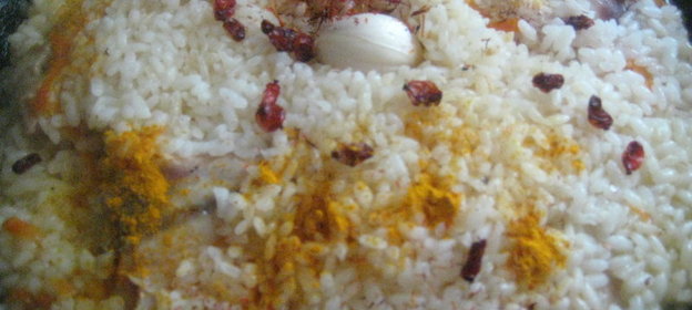 Чешуйчатый морской волк