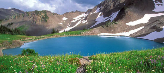 Голубцы мясные