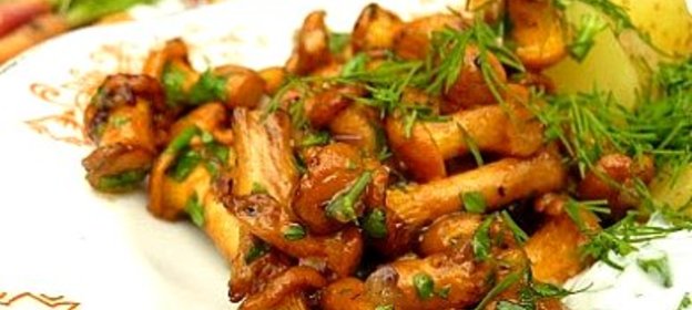 Жареные рыжики