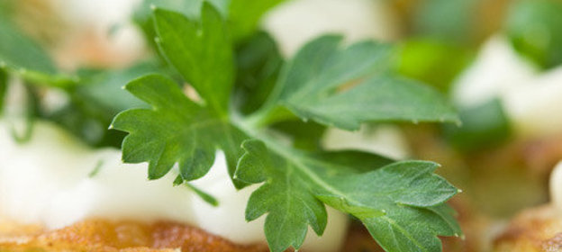 Оладьи из кабачков