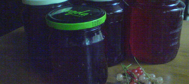 желе из красной и белой смородины