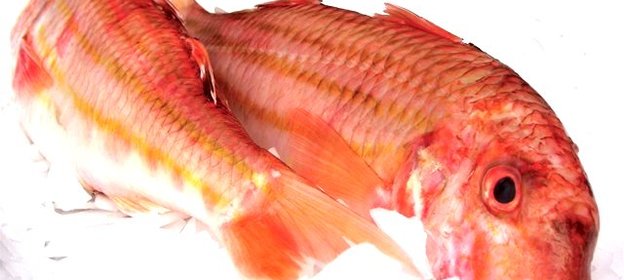 Кефаль соленая