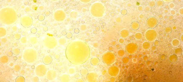 Мясной бульон