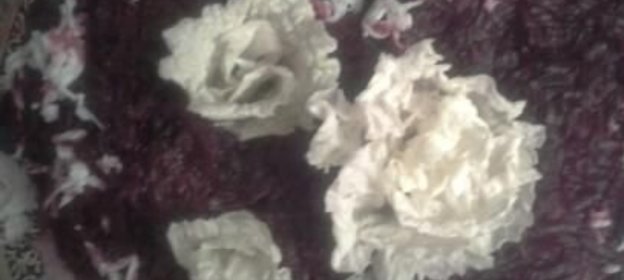 Бульон с грибами и курицей