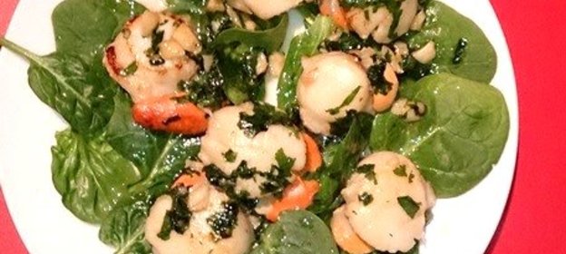 Морские гребешки на подушке из шпината