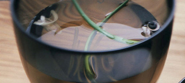 Бульон азия