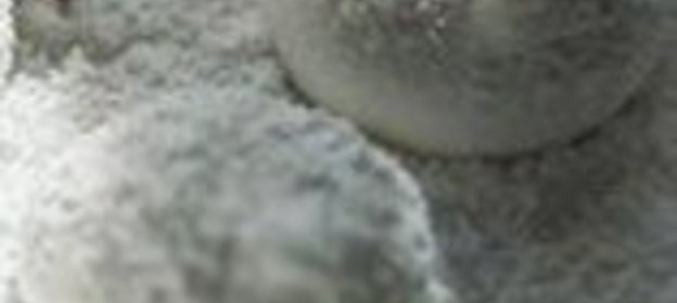 Башенка из говядины с творожным кремом и ароматном кофе