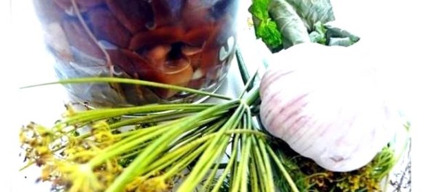 Волнушки в маринаде