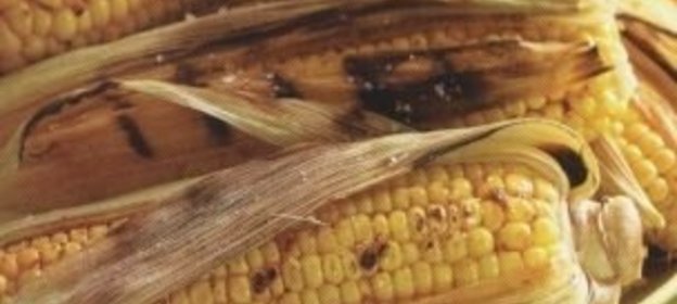 Спагетти с гуляшом из сосисок