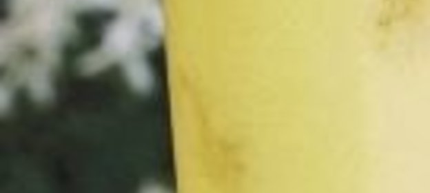 Ореховый соус I