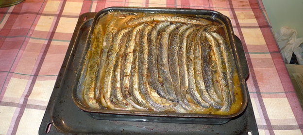 Миноги-гриль в желе